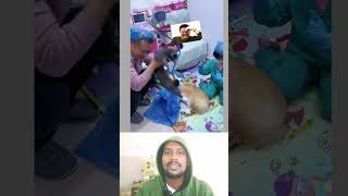 வடக்கன்foodreaction videoshortsvideo ican vlogstwist இருக்குviralfunny [upl. by Zashin]