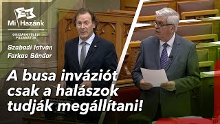 A busa inváziót csak a halászok tudják megállítani [upl. by Rivard]