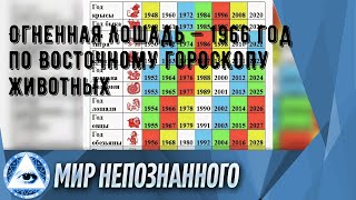 Огненная Лошадь — 1966 год по Восточному гороскопу животных [upl. by Latvina]