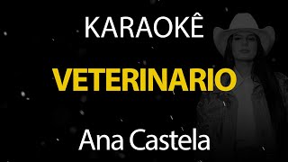 Veterinário  Ana Castela Karaokê Version [upl. by Aivatnohs744]