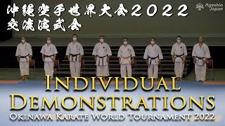 Super Individual Karate Demonstrations  World Tournament 2022  Okinawa  Ageshio Japan [upl. by Einnok]