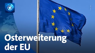 20 Jahre EUOsterweiterung Ausländische Arbeitskräfte in deutschen Firmen [upl. by Towers]