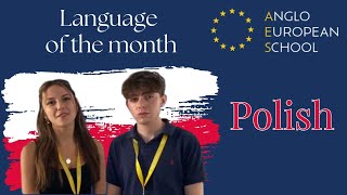 Language of the Month Polish [upl. by Moffitt]