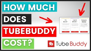 TubeBuddy Pricing  How Much Does TubeBuddy Cost [upl. by Alleuqahs]