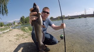 How to catch catfish in a pond  Bank fishing for catfish in a city pond [upl. by Mair]