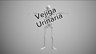 Vejiga urinaria medicinauy [upl. by Ylrehc]