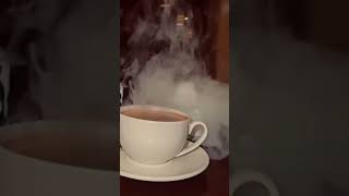 Chai Ka Cup  Chai Ke Bahane  Chai Ke Upar Gana  Chai Ki Video  Chai Poetry  Chai Reels  Tea [upl. by Nairda]