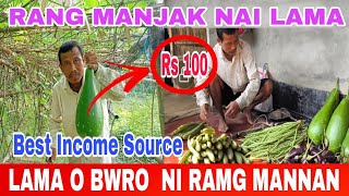 Best Income Source  Lama O Bwro Ni Rang Mannai  Rang Manjak Nai Lama  Langma tv [upl. by Nnylkcaj94]