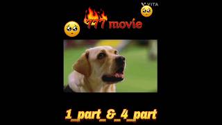 Charlie 777 most scene Rakshit Shetty emotional scenedogdogloverlabrador charlie777 🥺 [upl. by Lamson]