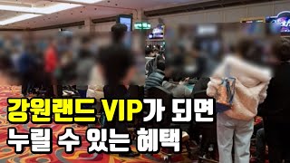 일반인은 모르는 강원랜드 VIP의 생활 [upl. by Montano]