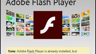 How To Enable Adobe Flash Player For Chrome Browser Users [upl. by Yks]