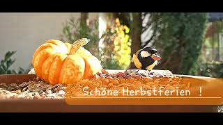 Schöne Herbstferien [upl. by Gould]