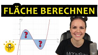 FLÄCHE berechnen INTEGRAL – Integralrechnung Flächenberechnung [upl. by Leede856]