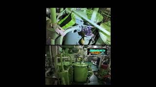 Testing OWS Oily Water Separator 15PPM alarm and check 3 way valve if working good [upl. by Lannie]