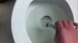 Flushing My Pet Fish Alge Down The Toilet RIP [upl. by Efthim]