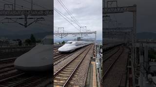 🚅日本の超高速列車🇯🇵  ショートパンツ  ショートパン ツ タレンディグ10k😱 ショートパンツ タレンディグ10k ショートパン 新幹線 e231系 train [upl. by Ayam295]