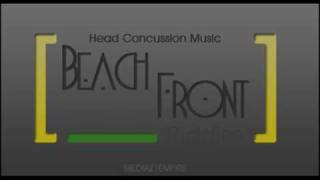 Beach Front Riddim Mix [upl. by Leaper796]