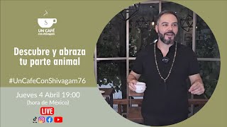 Live Descubre y abraza tu parte animal  Un Café con Shivagam 76 [upl. by Ardnuasak828]