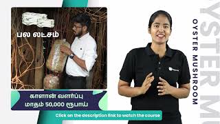 Oyster Mushroom Farming Course Trailer in Tamil  ffreedom app [upl. by Ayihsa]