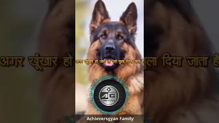 शांत शेर🦁Vs खूंखार कुत्ता 🐕 ⁉️l Achievers Gyan l shorts motivational facts [upl. by Ayal]