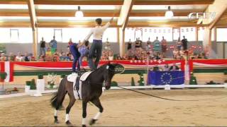 FEI European Vaulting Championship 2013  Junior Pas de Deux  2nd Place McLachan amp Norval [upl. by Sualokcin]