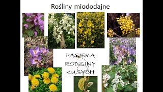 Rośliny miododajne Cz1 [upl. by Norraj]