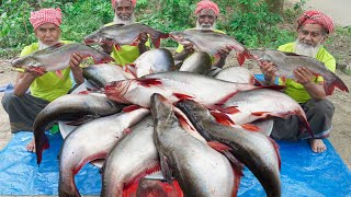 30 KG Big Pangas Fish Cutting amp Cooking by Grandpa  Panagasius Catfish Curry for Special People [upl. by Puklich]