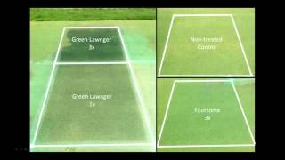 2015 Turf Research Turf Colorants and Growing Environments [upl. by Atteiluj]