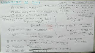 Temporomandibular Joint  2 Ligament  TCML [upl. by Arracahs]