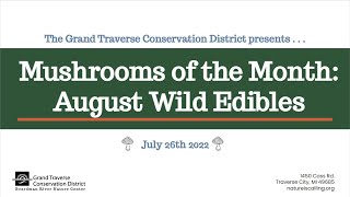 Mushrooms of the Month August Wild Edibles [upl. by Atinal]