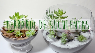 Terrário de Suculentas  Faça você mesma DIY Succulent Terrarium [upl. by Ylirama]