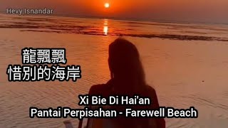 Oldies 龍飄飄 Long Piao Piao  惜別的海岸  Xi Bie Di Haian Sub Indo Eng Pinyin [upl. by Serene]