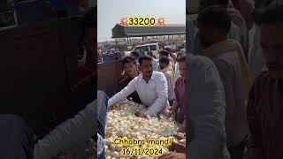 CHHABRA MANDI chhabra kota rajsthan streetfood farming farmer youtube [upl. by Lang914]