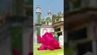 Yaysa nawaja peer ne sab dhekhte rahe shots youtubeshorts duet unfrezzmyaccount islamik [upl. by Nageet]