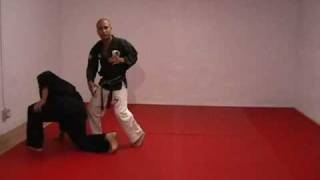 CASA DE KENPO  BROWN BELT  THRUSTING INTO DARKNESS [upl. by Mauceri429]