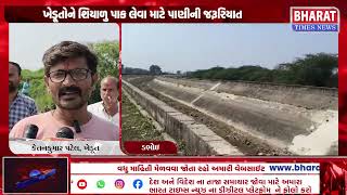 ડભોઇમા શિયાળુ પાક માટે પાણીની તંગી  Farmers in Dabhoi Face Water Shortage for Winter Crops [upl. by Annaesor574]