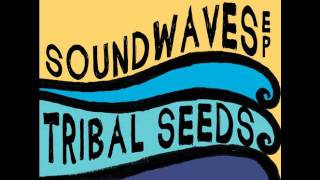 Tribal Seeds  In Your Eyes [upl. by Orose763]