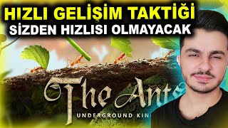 THE ANTS Underground Kingdom Türkçe  The Ants Gelişim Taktikleri  The Ants Nasıl Oynanır [upl. by Eirased610]