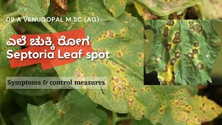 Septoria Leaf spot of Tomatosympsampcontrol measuresಟೊಮ್ಯಾಟೋ ಎಲೆ ಚುಕ್ಕಿ ರೋಗ ಲಕ್ಷಣಗಳು amp ಹತೋಟಿ ಕ್ರಮಗಳು [upl. by Iran]