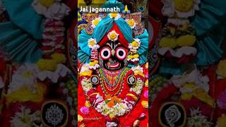 Jibana kemiti jiba kehi janena jai jagannath 🙏shortvideo trending song viralsong [upl. by Atnaloj]