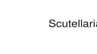 How to pronounce Scutellaria [upl. by Hindorff738]