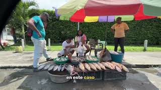 ¡El Puerto Pesquero de Tumaco avanza 🎣 [upl. by Oberheim168]