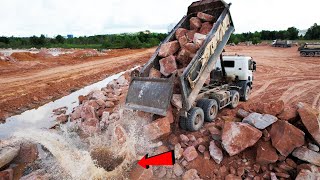 AMAZING Rock Pushing Unloading For Making Land Up Bulldozer Komatsu D61PX Working With 255t Truck [upl. by Veejar]