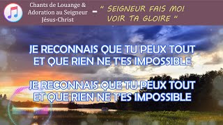 Seigneur fais moi voir Ta Gloire avec paroles en français [upl. by Nelad20]