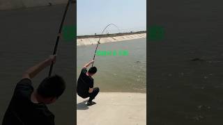 Actual measurement of 45 meters steel rod fishing naturefishing fishingequipment fishingrod [upl. by Mayor570]