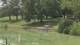 Algae bloom concerns in Westmoreland County park [upl. by Rolf896]