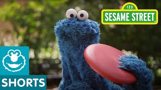 Sesame Street Catch allnew episodes of Sesame Street [upl. by Hyman]