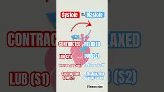 Systole vs Diastole systolic diastolic nursingschool nursingschoolstudents nursingstudent [upl. by Ethelyn499]