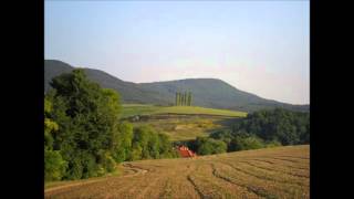 Thomas Merton A háború gyökere a félelem [upl. by Nocaj]