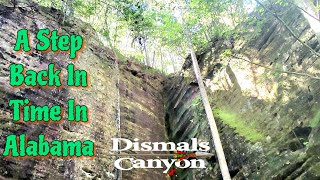 Dismals Canyon  A National Natural Landmark In Alabama nature outdoors hiking [upl. by Adele]